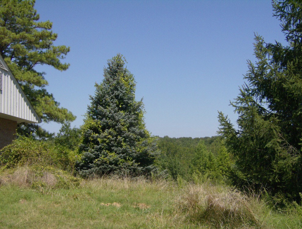 View from the side of the house shows vista of property