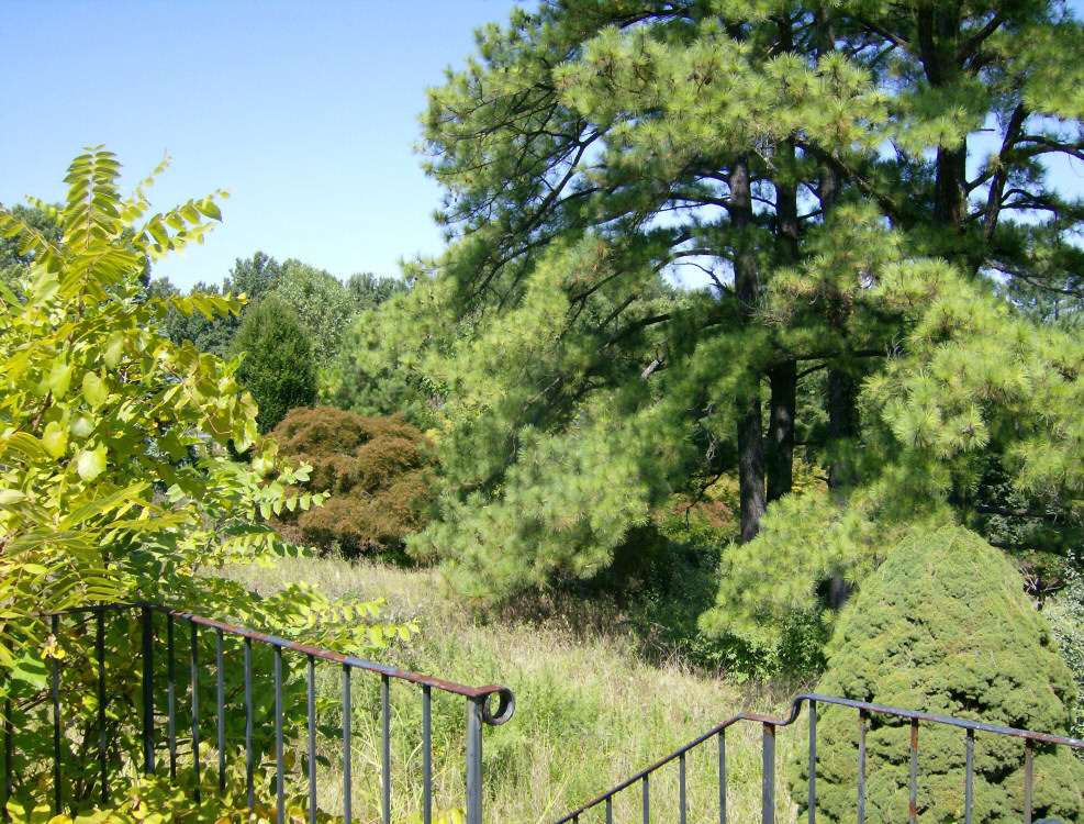 Behind the house...The property runs back as far as the eye can see!