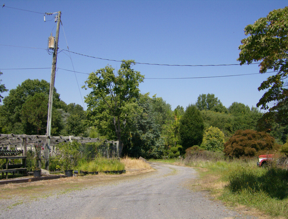 Commercial nursery on left