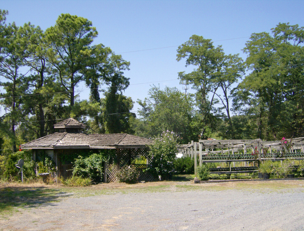 A rare gem! Restful oasis of serenity in bustling Northern Virginia
