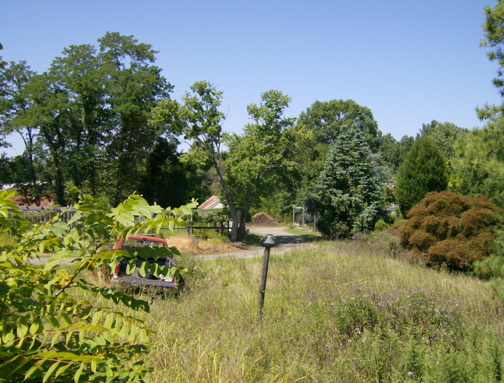Back yard of the house on the property